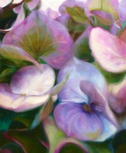 Hortensienblüten, pink-blau, 120 cm x 100 cm/ Dezember 2017/Öl auf Lwd.